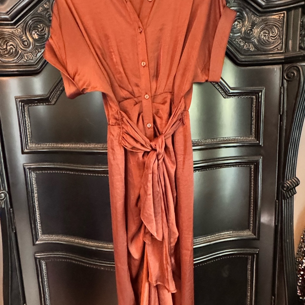 Steve Madden Copper Color Button-Down Dress with tie.
